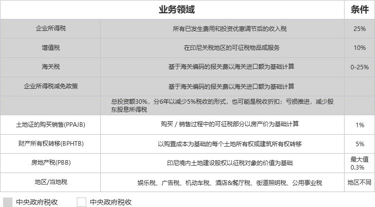 聚龙-税收政策.jpg